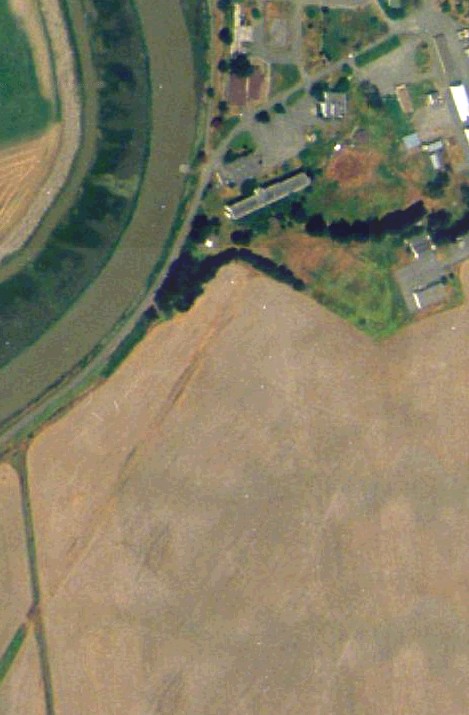 skaggs_aerial_2000Row2xCol1.jpg